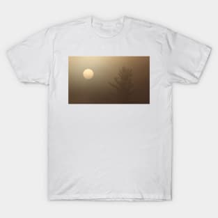 Sunspots 1 T-Shirt